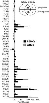 Early Leukocyte Responses in Ex-Vivo Models of Healing and Non-Healing Human Leishmania (Viannia) panamensis Infections